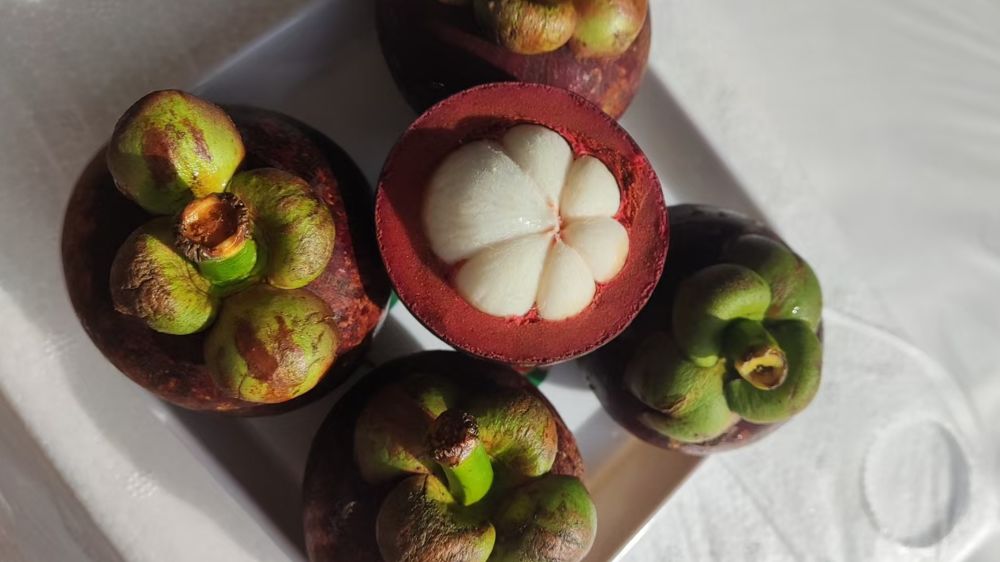 水果店行业类型是什么,水果店行业选择