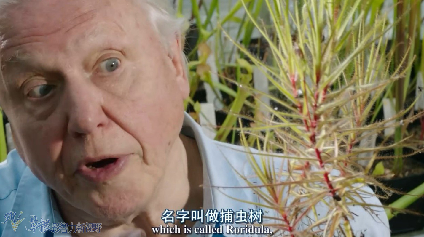 植物比动物厉害,动植物的繁衍方式