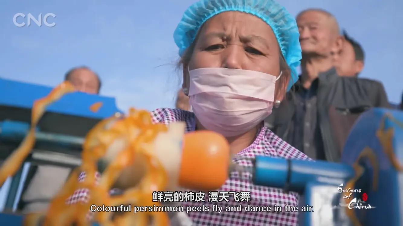 霜降有好柿，橘红色“灯笼”的变形记