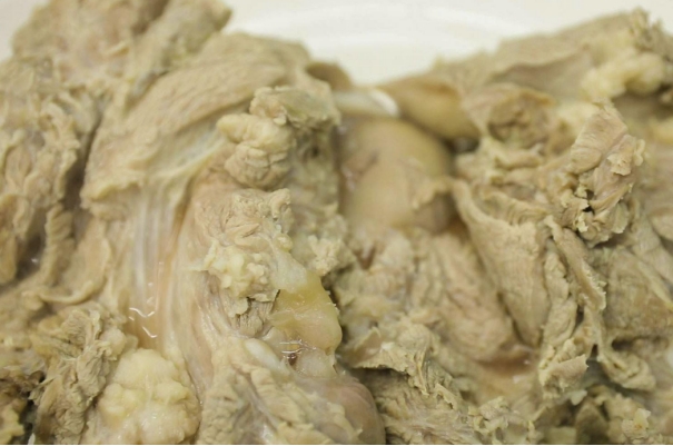 家常炖羊肉好吃不柴不膻,冬季炖羊肉必加一物