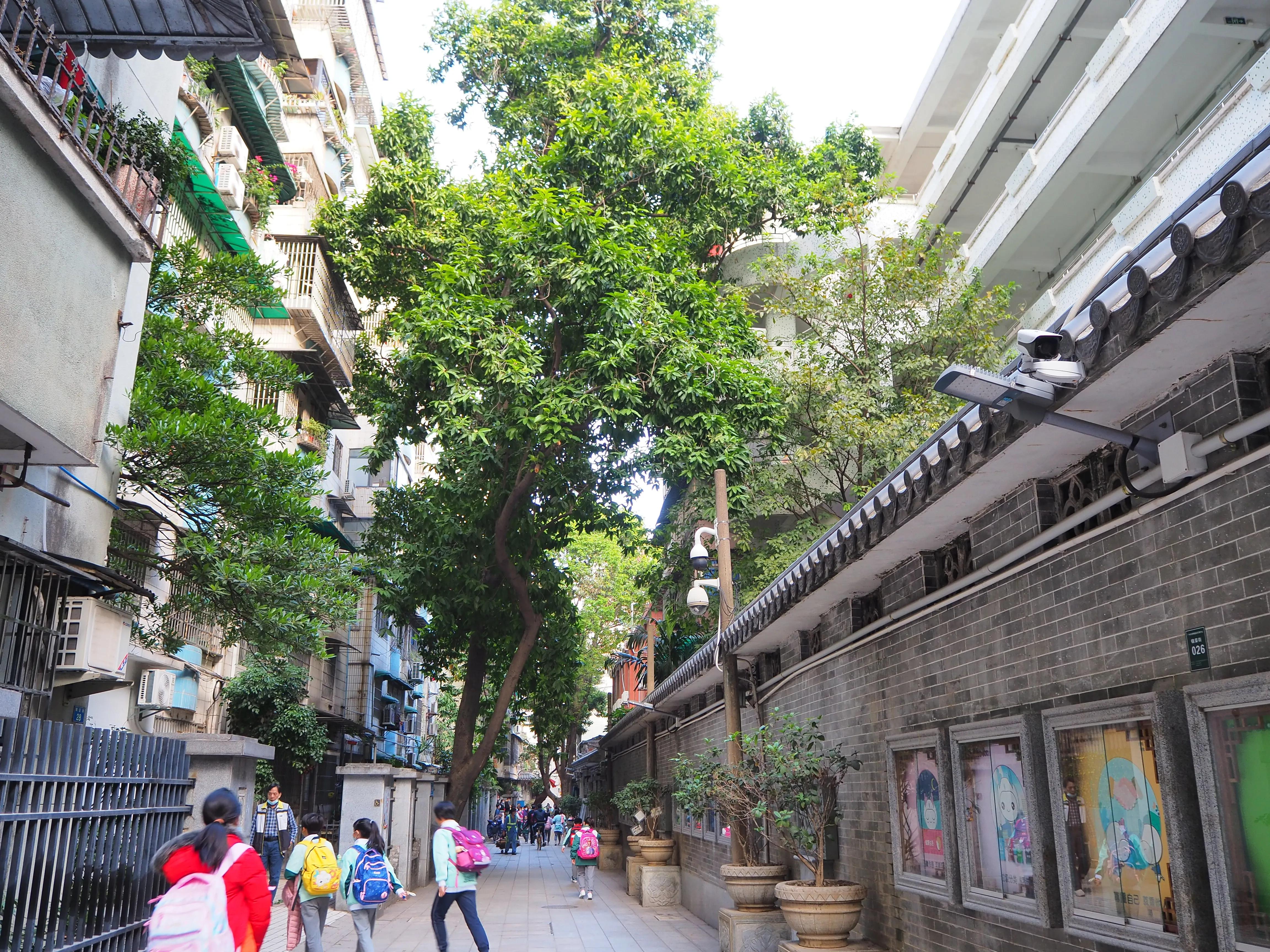 这个社区有点香｜内有小学和两间公立医院，医院能做手术、可住院