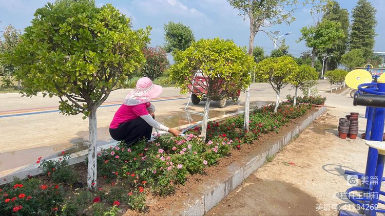 平安淮滨新变化丨淮滨县栏杆街道:喜迎二十大,夸夸我的家乡王湾新变化