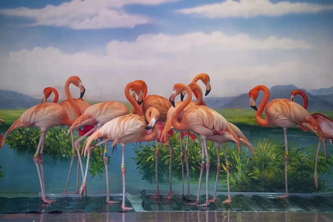 大无语事件!268元买了哈尔滨极地公园亲子票,被路人追着问了三条街!