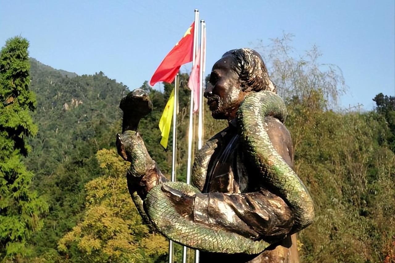 莽山烙铁头5000一条是真的吗,莽山烙铁头和大熊猫哪个珍稀