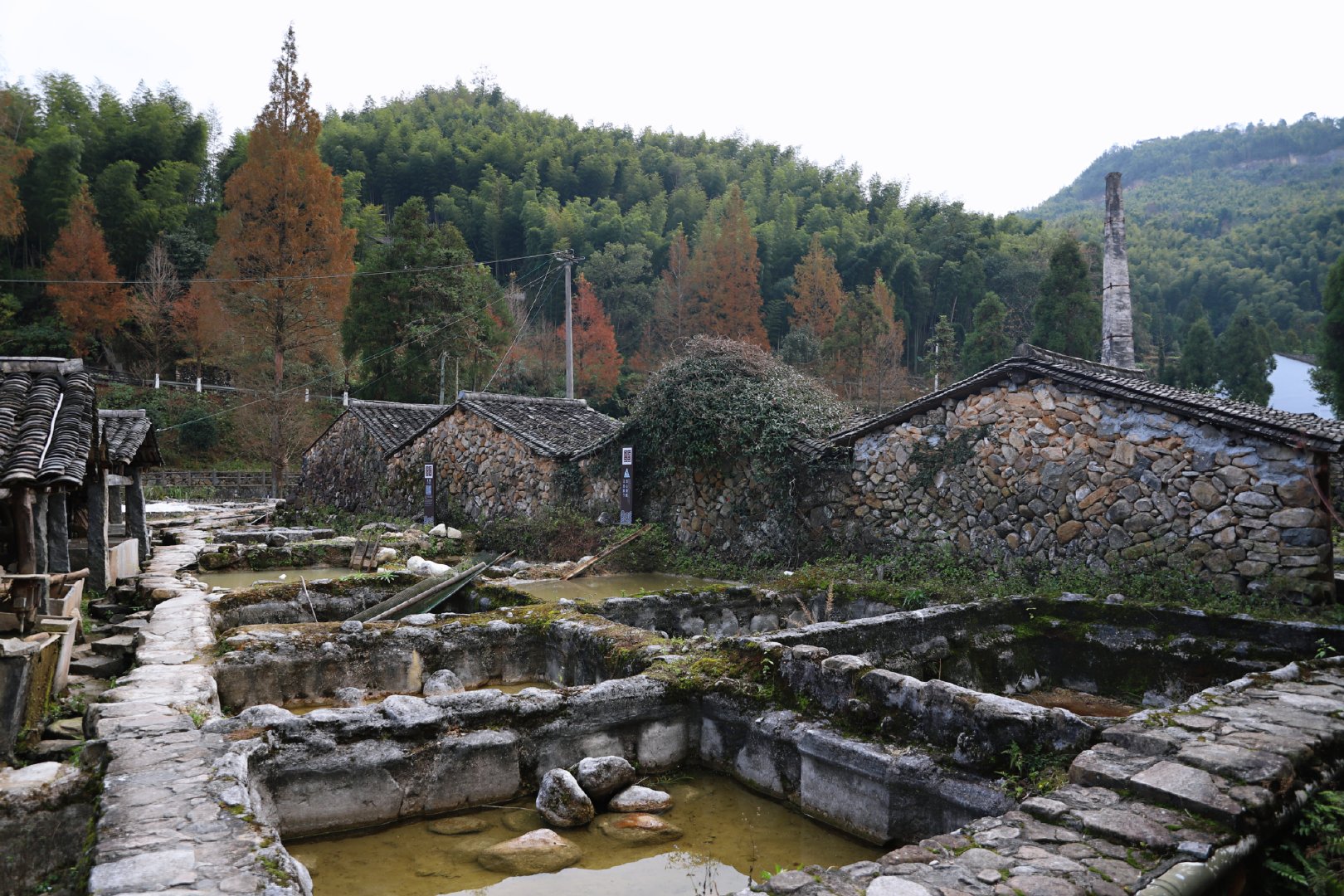 跟随瓯嗨十碗，探秘纸山厨娘美食