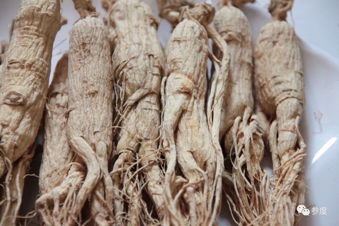 中医为什么少吃人参,中药人参不与什么同吃