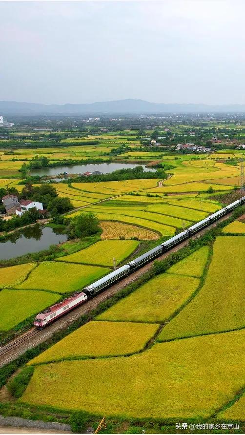 此心安处是吾乡的意思,此心安处是吾乡完整版