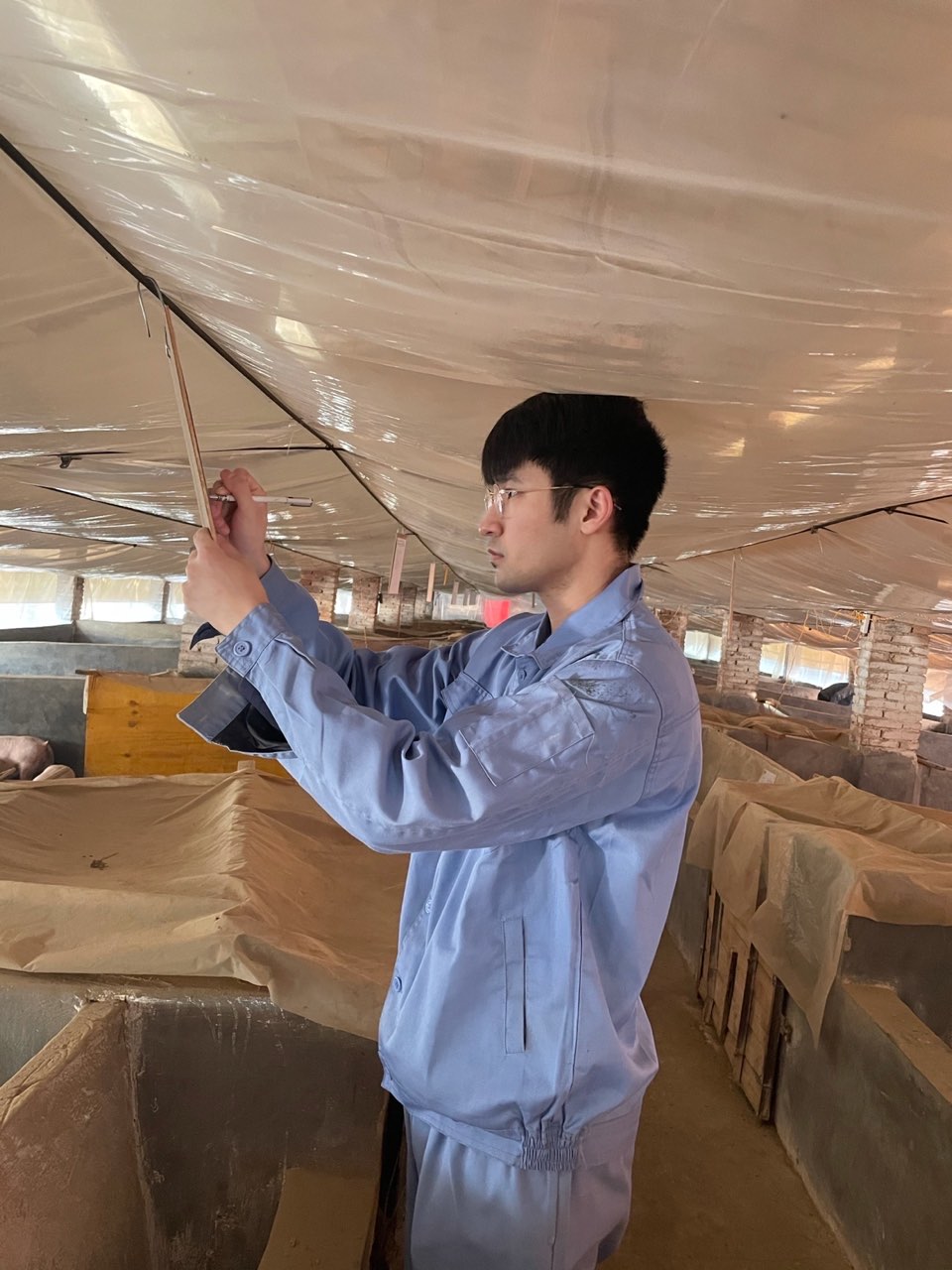 双胞胎集团员工感受,加入双胞胎集团的感悟