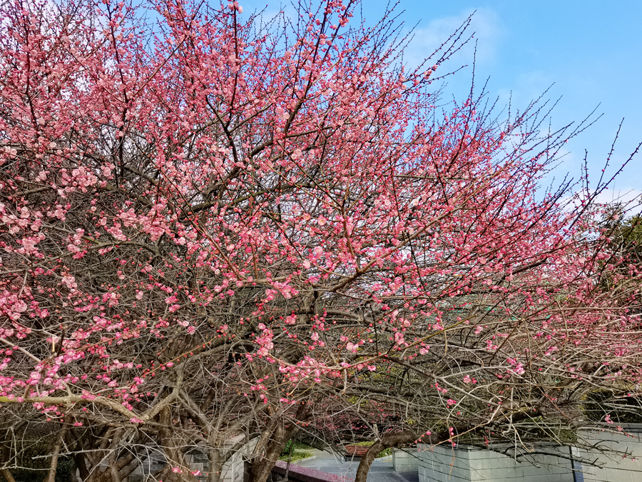 是仪：心中有民（八）