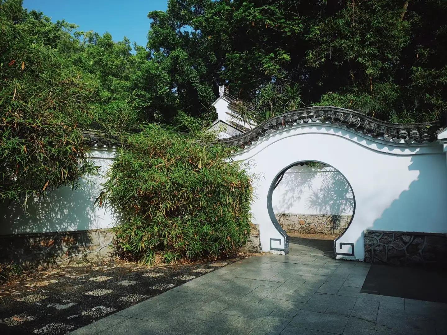 黄梅戏游园惊梦牡丹亭寻梦,寻梦牡丹亭游园惊梦