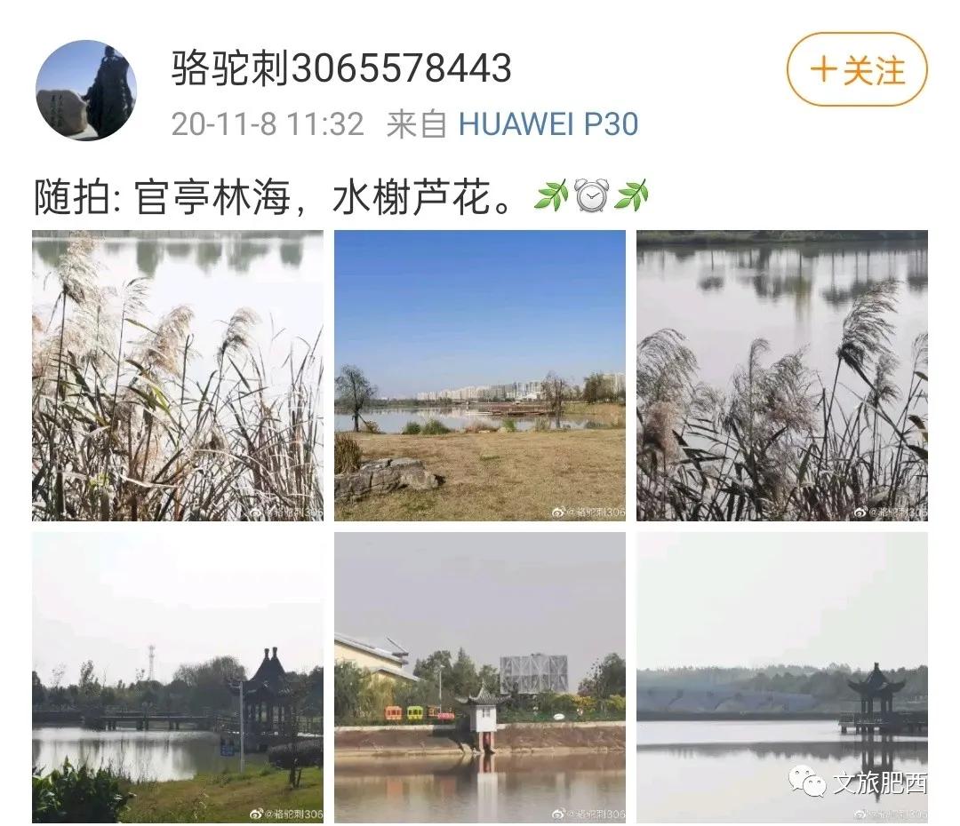 原来，在社交平台中，肥西的真实风景是这样的