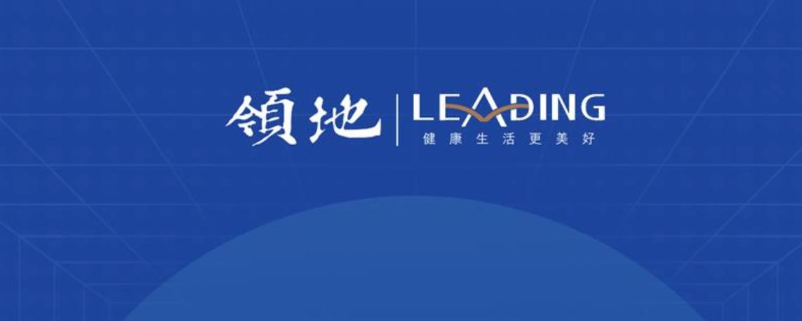 领地控股稳定了吗,领地集团房屋质量