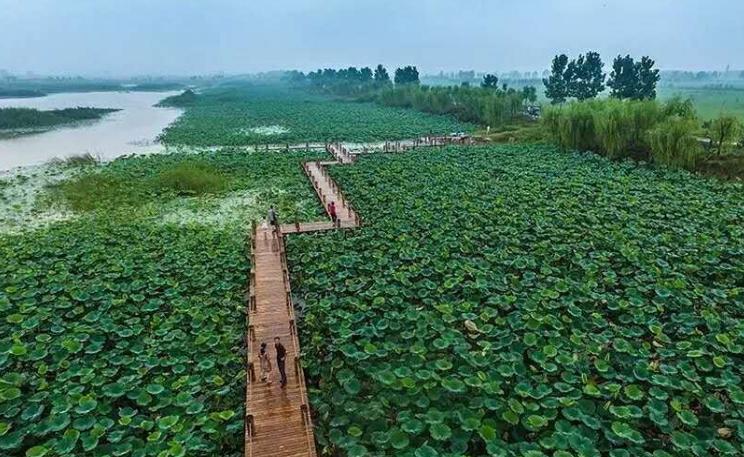 淄博春天赏花,淄博赏花时间表