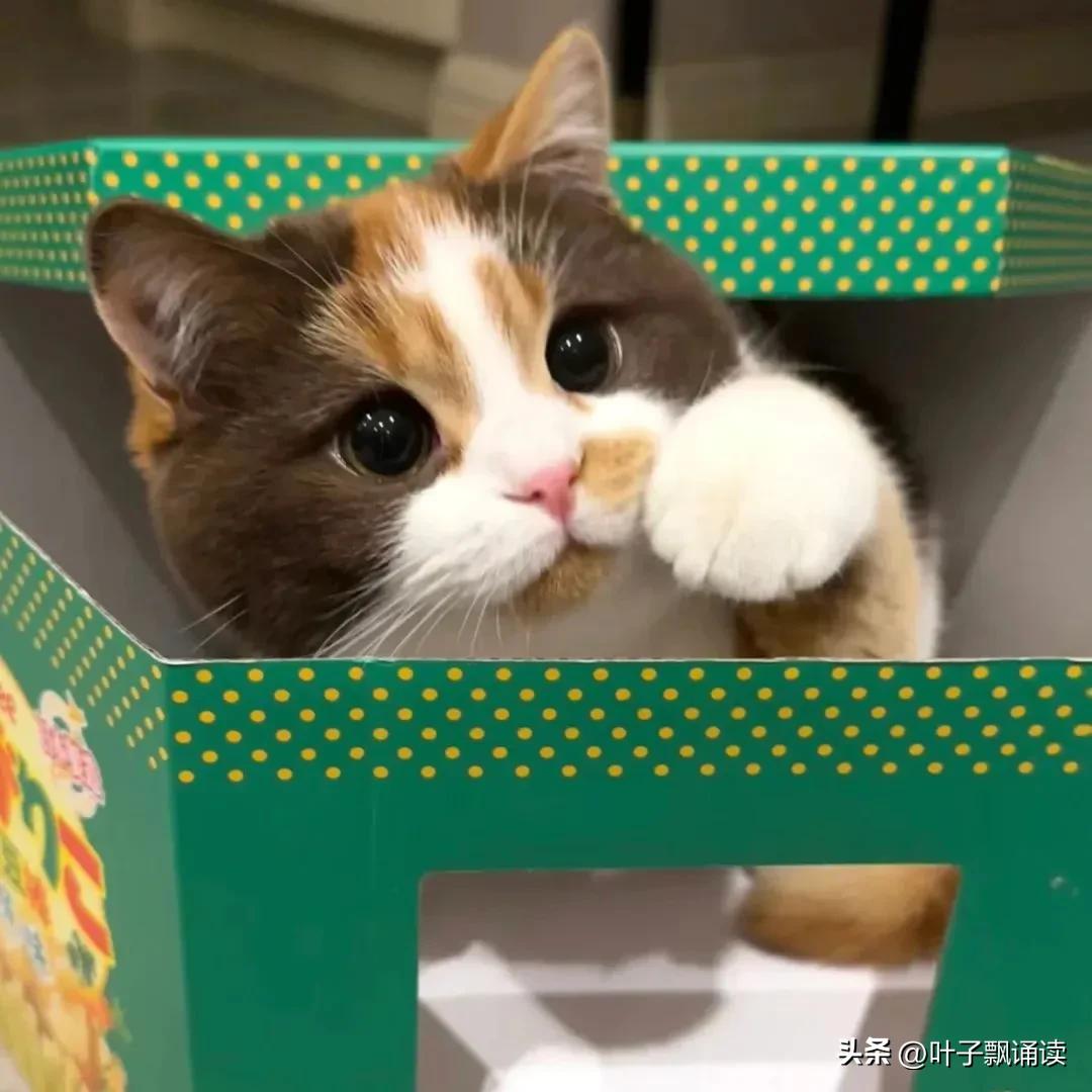 东西落在出租车上怎么办渭南,东西落在出租车上怎么办