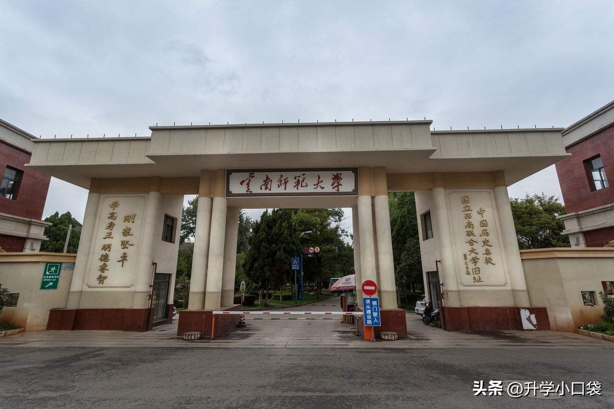 云南理工大学保研人数,云南大学的保研率是多少