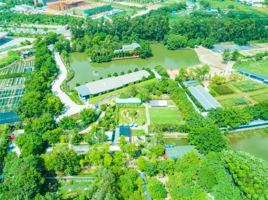 麻涌国庆游玩好去处,麻涌周末去哪玩