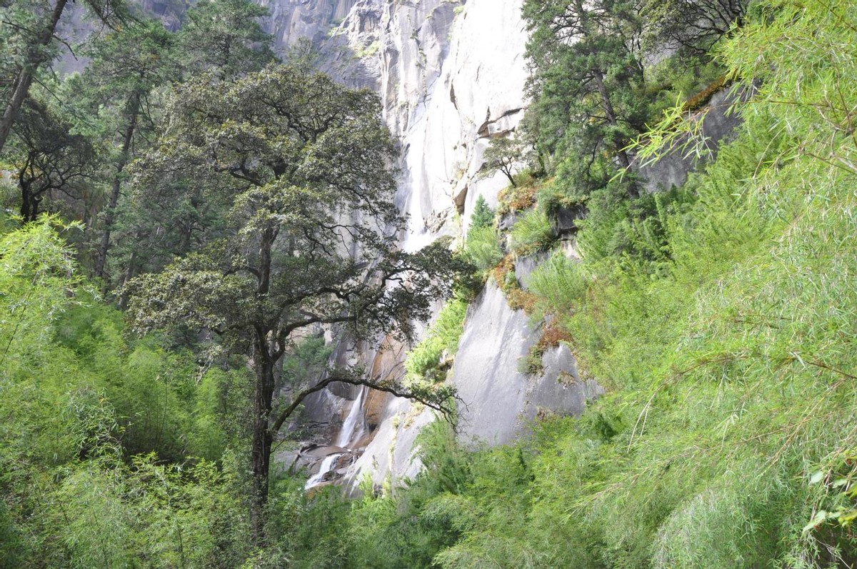 林芝旅游攻略在318国道,林芝318人间仙境