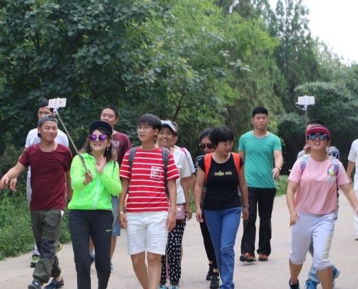 为什么旅行社一直都缺导游呢,旅行社缺导游吗