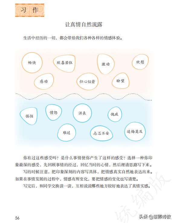 让真情自然流露500字六年级2022,六年级习作3让真情自然流露