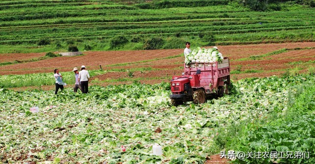 疫情之下老百姓日子怎么过,此次疫情对百姓生活影响多大