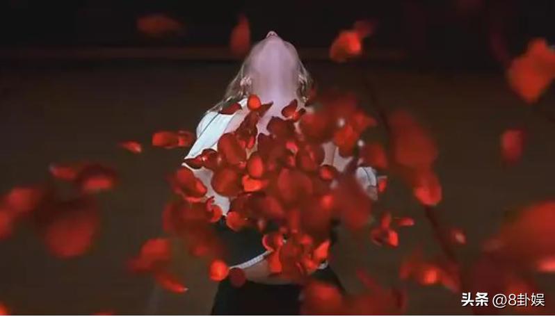 美国丽人人物分析,美国丽人反映了什么社会现象