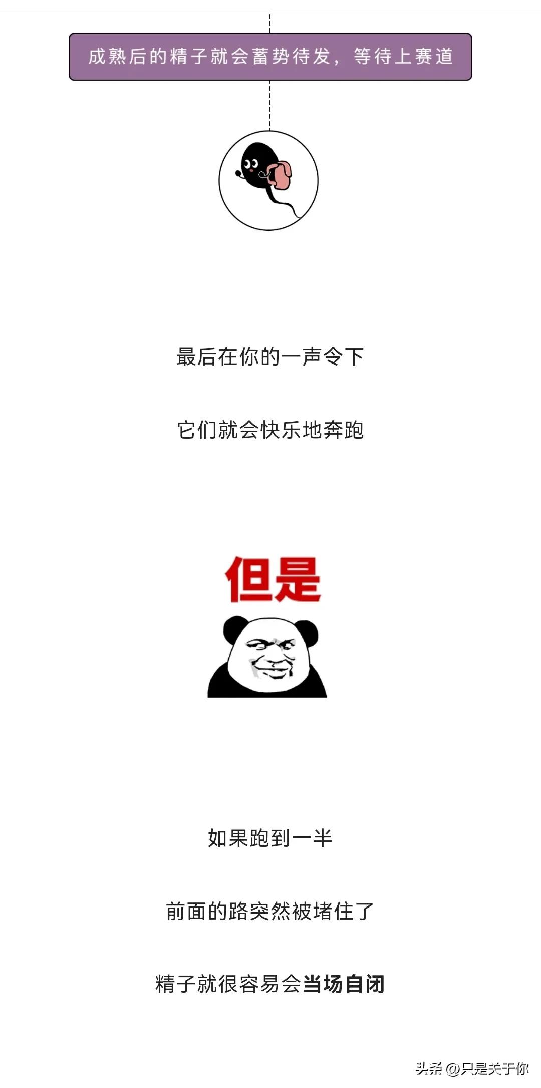 漫画：忍住“不射”的精子会去哪儿？