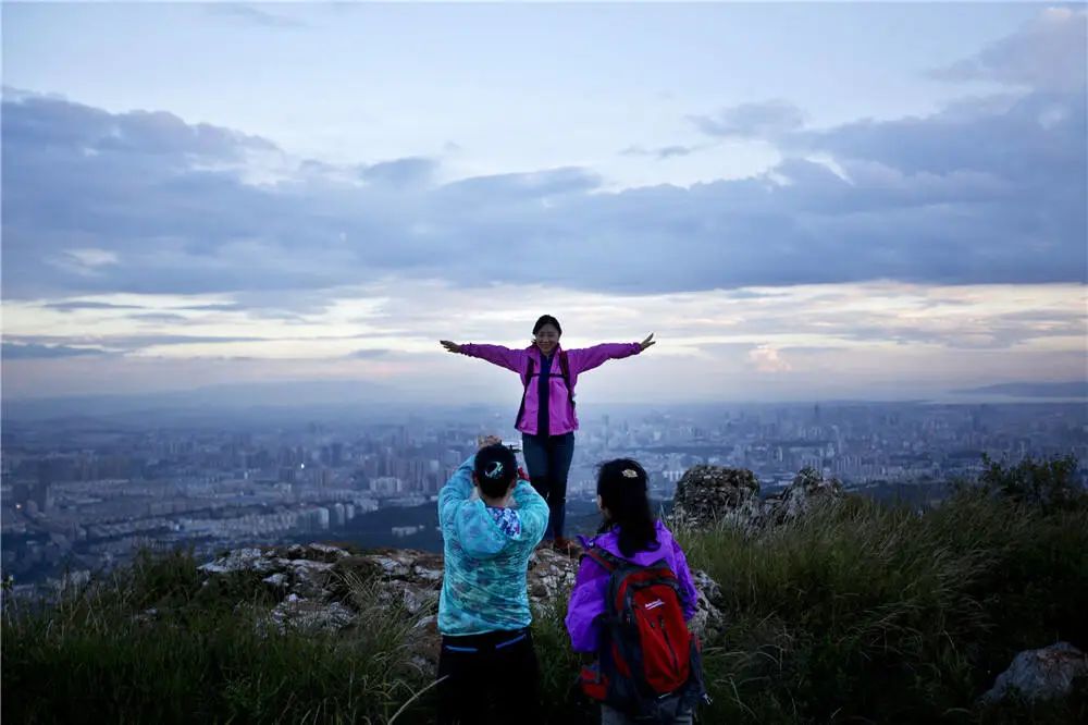 治疗痛风神奇藏药,草药治疗痛风的特效药