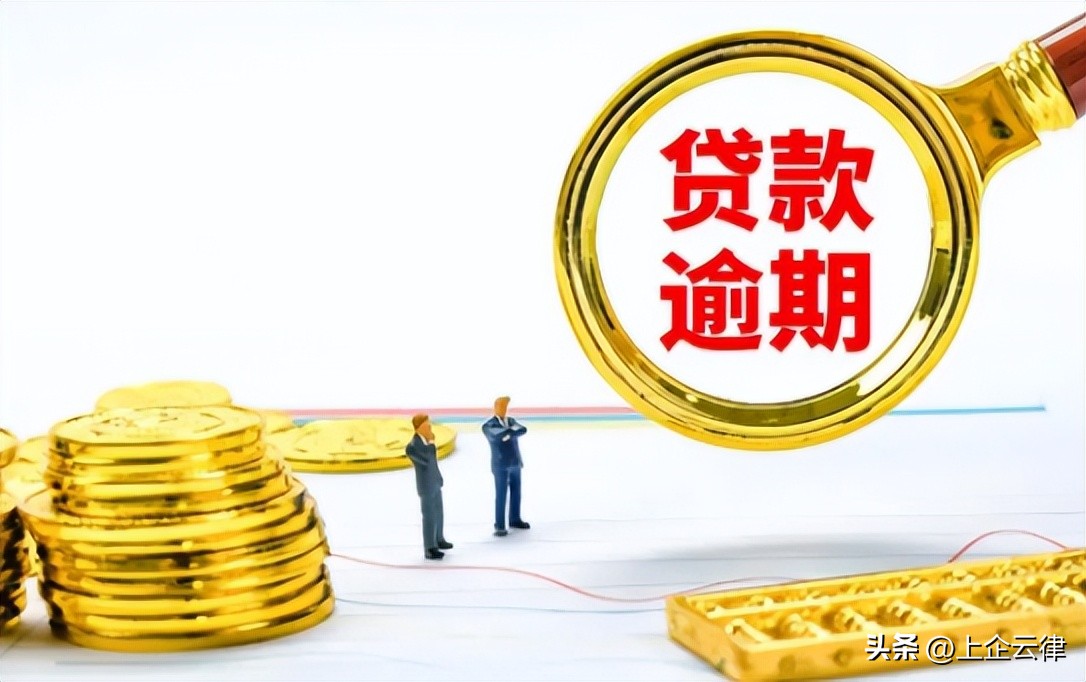 网贷公司把你告上法庭了怎么办,被网贷公司起诉到法院执行怎么办