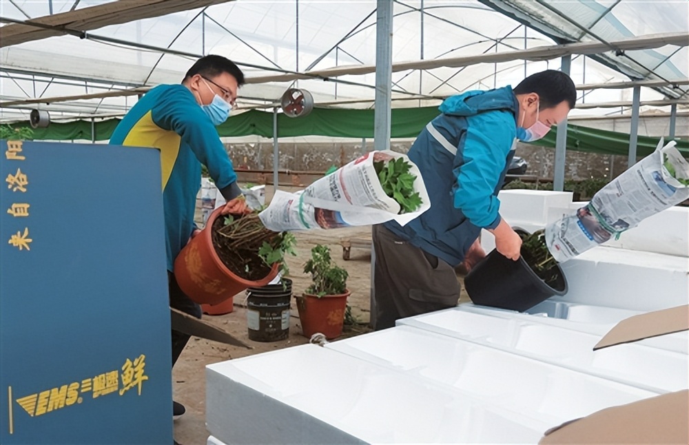 中国邮政怎么还没倒闭？