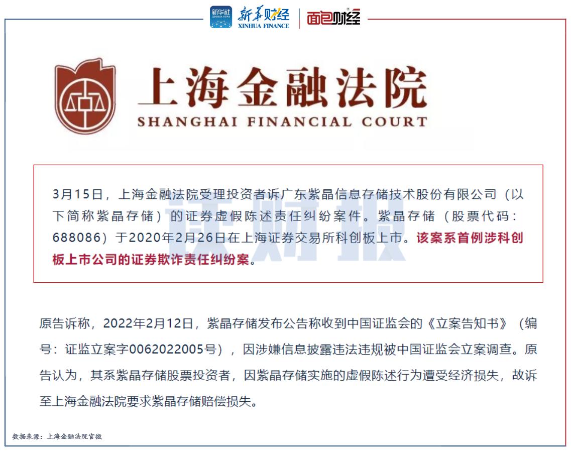 科创板上市公司财务欺诈案例分析,科创板欺诈发行案例有哪些