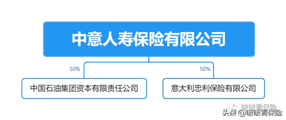 中外合资人寿保险公司,中外合资保险公司哪家好