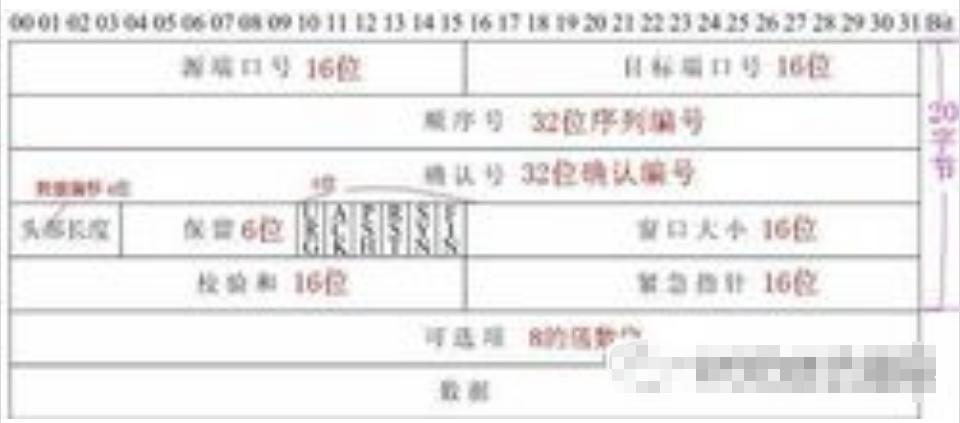 什么是ip地址网关,什么是ip协议