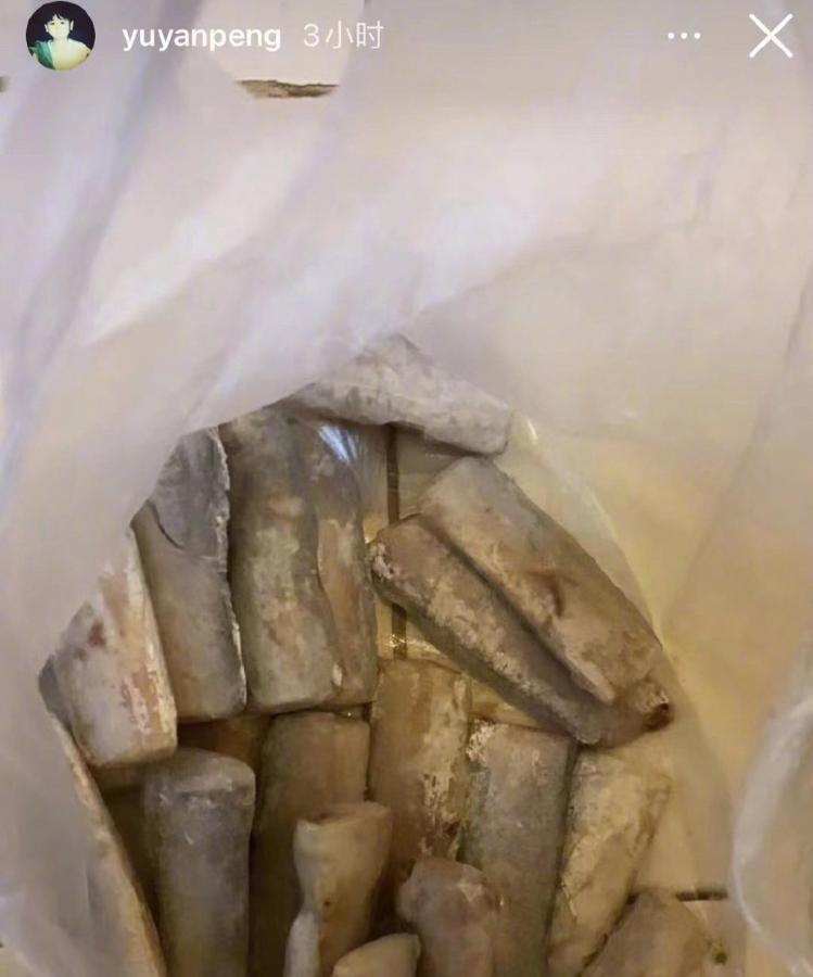 上海疫情期间的彭于晏,疫情期间居家的彭于晏