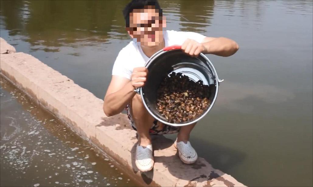北京一对夫妻深夜下河捞田螺被抓,在河边捞300斤田螺被判刑
