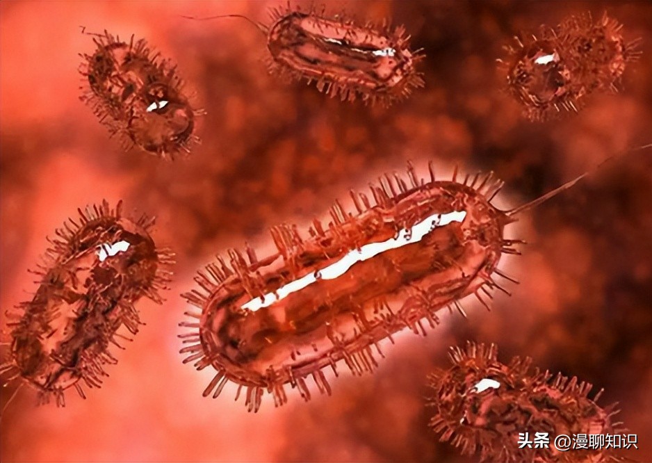 妇阴康洗剂的用途,妇阴康洗剂是抗生素药吗