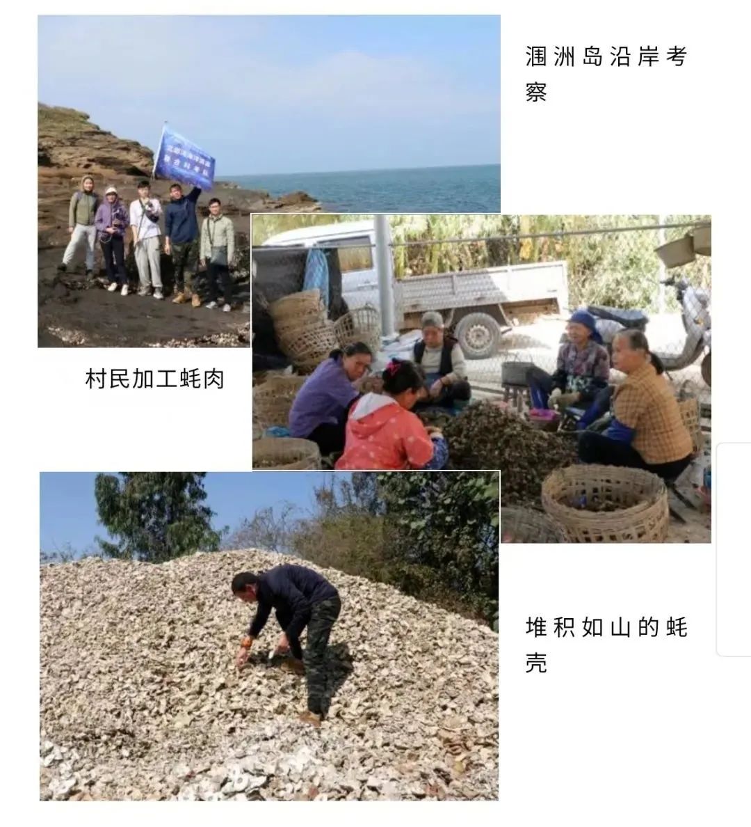 牡蛎被称为海中牛奶,牡蛎是海蛎壳吗