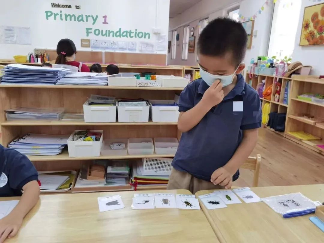 这次疫情带孩子去国外留学,因为疫情导致儿子没能回澳洲留学