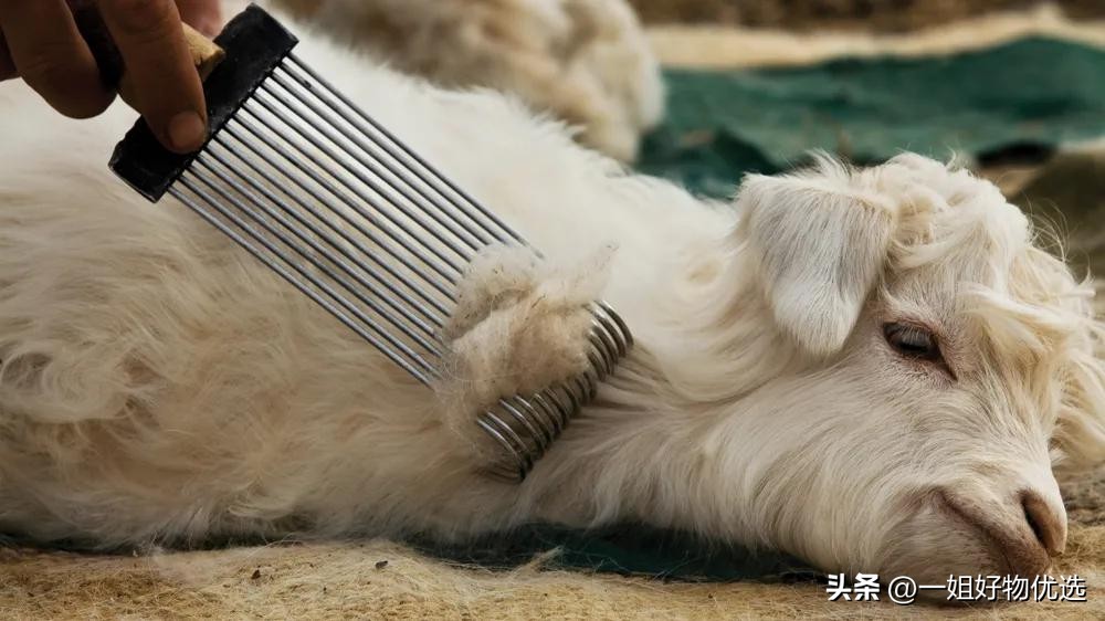 围巾比较好的牌子,男士围巾哪个牌子比较好