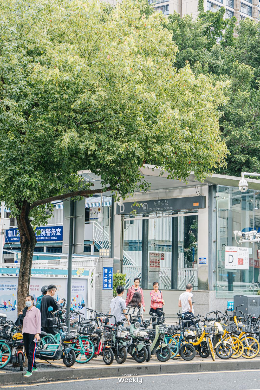 在深圳，总要去一趟蛇口吃吃逛逛吧