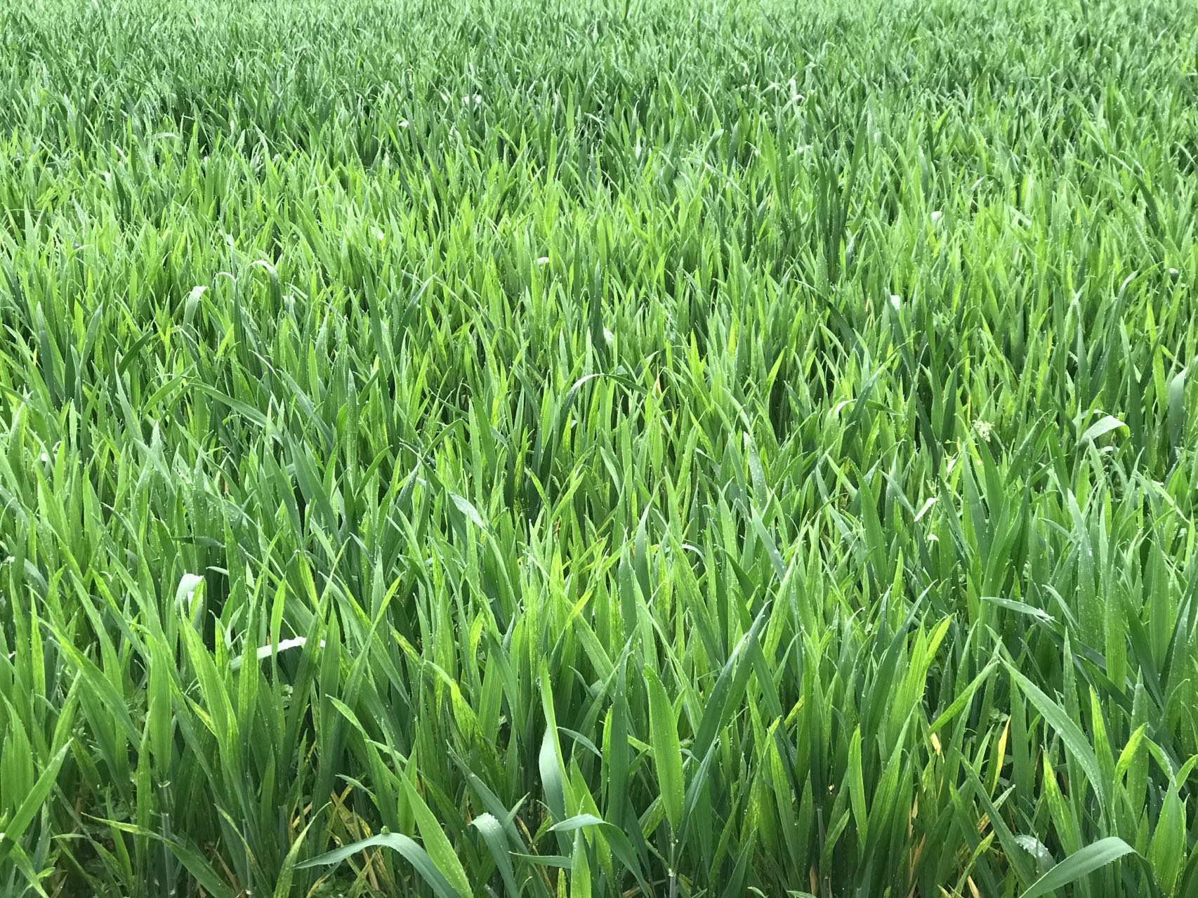 二十四节气与天文历法,二十四节气属于什么历法