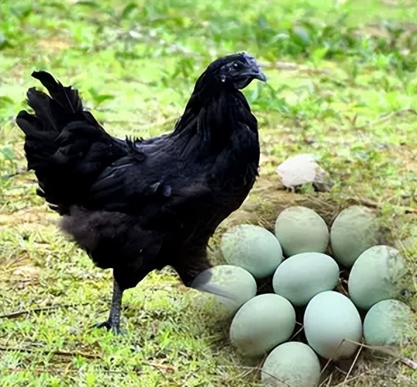 男子将500多万财产留给女友,男子四川娶上亿富豪