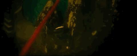 今年最高分了，还在涨