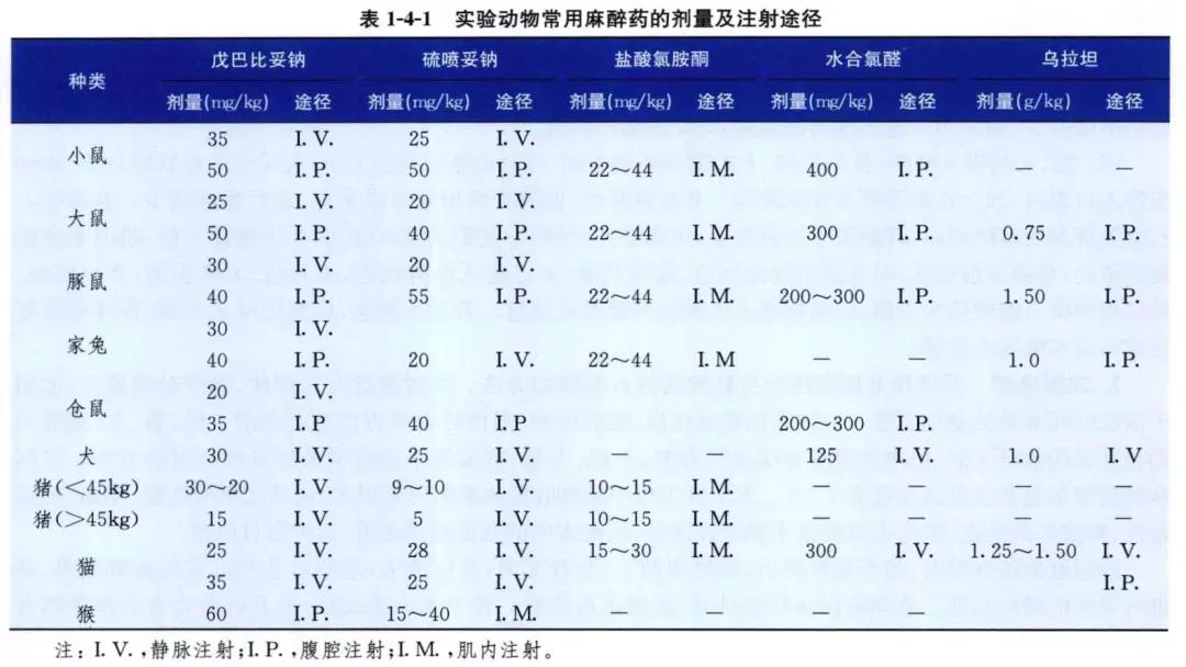 麻醉注意事项指导,麻醉实验视频完整版