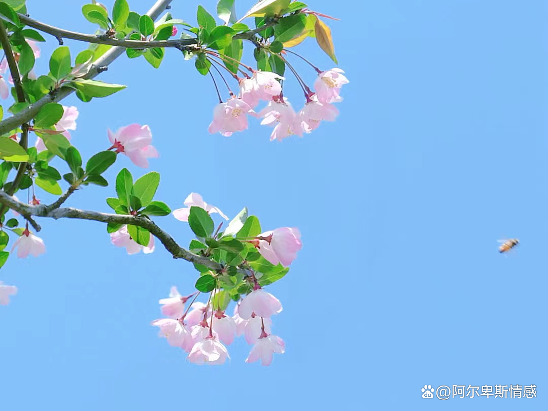 如果女人突然不找你闹了,如果女人突然不联系你了