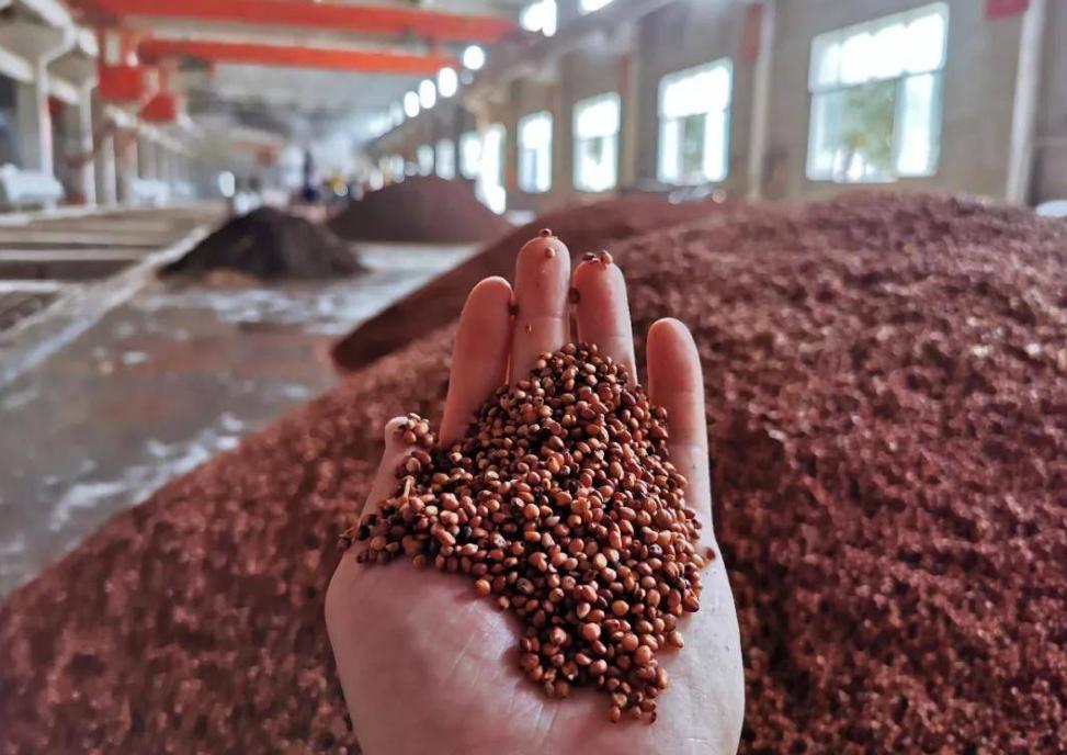 梦之蓝十大排名,梦之蓝送礼认可度高吗