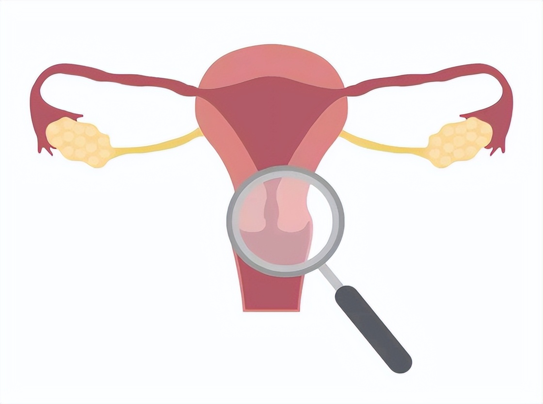 女性最佳绝经年龄范围,女性的最佳绝经年龄