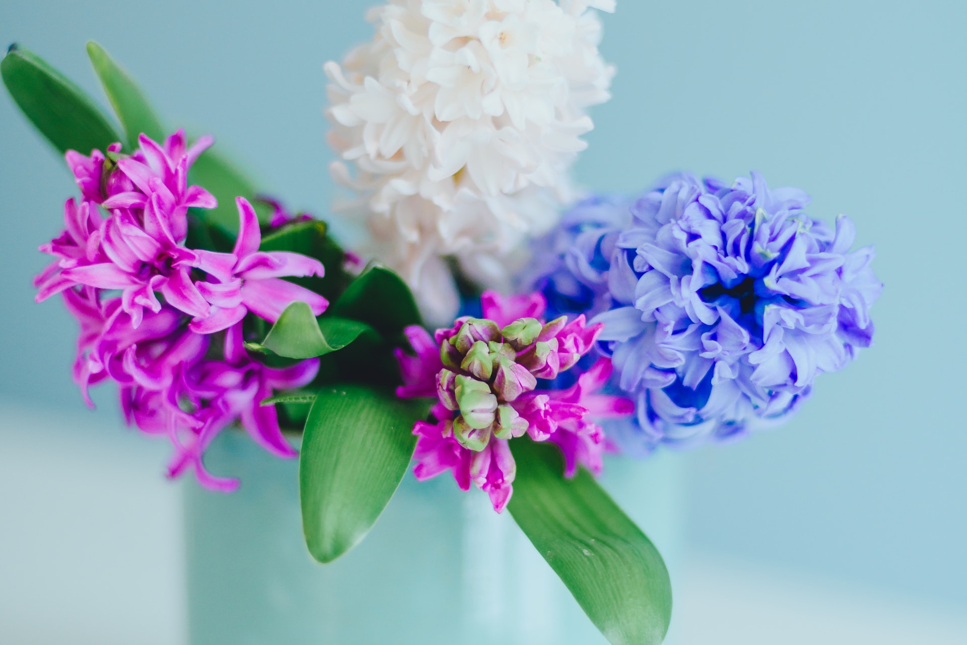 面对讨厌的人怎样才解气,面对讨厌的人翻脸没用