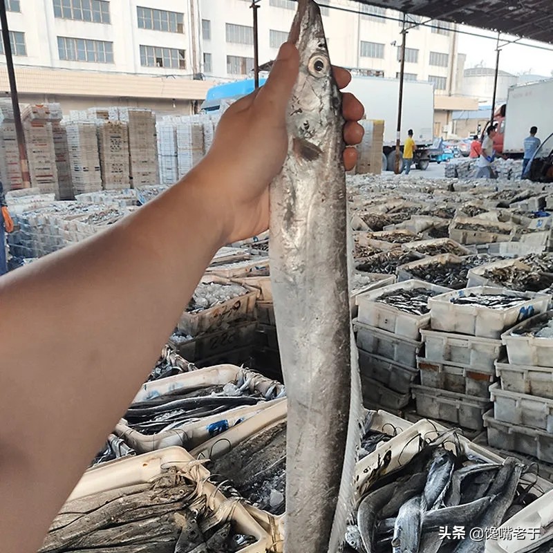 买带鱼注意这几个地方,买带鱼眼珠黑好还是白好