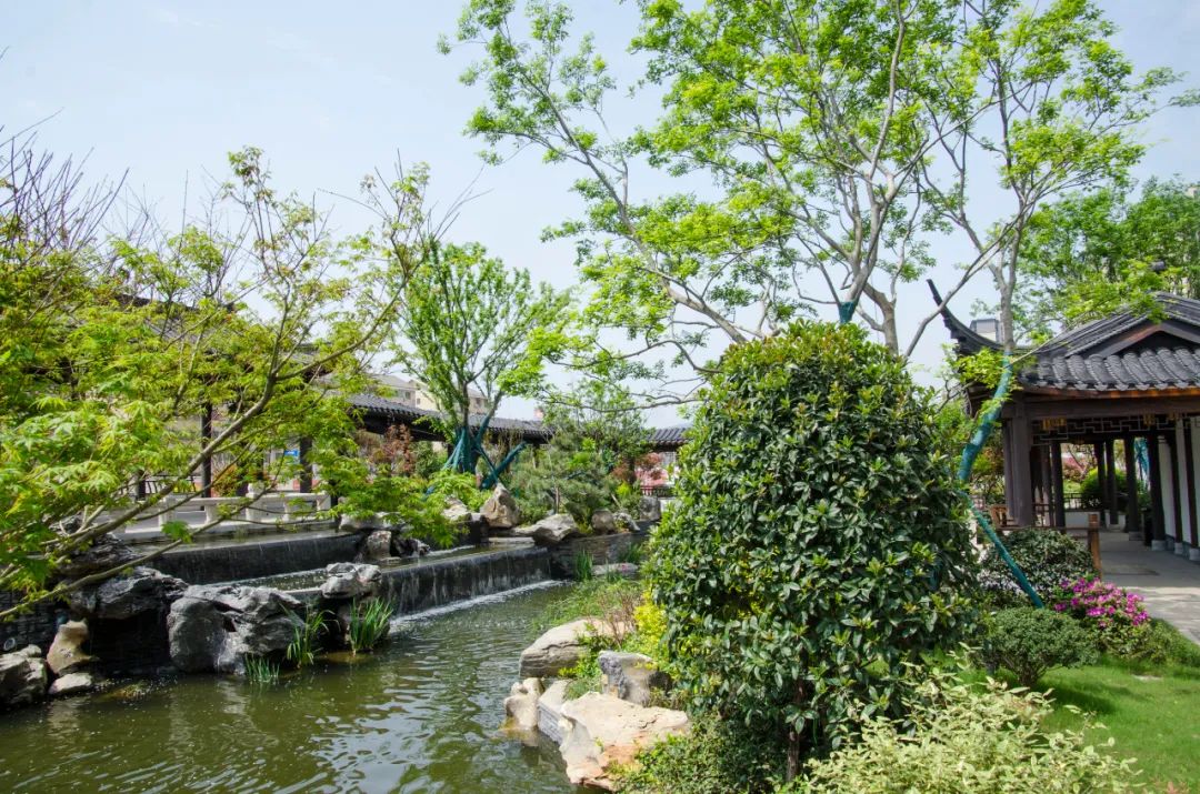 宴南都二期状元府装修,宴南都状元府位置