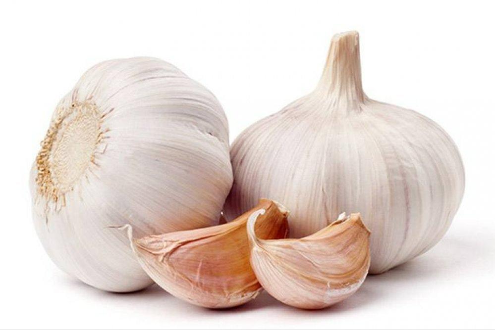 驱蚊小妙招远离蚊子困扰,家里有蚊子怎么驱蚊最好